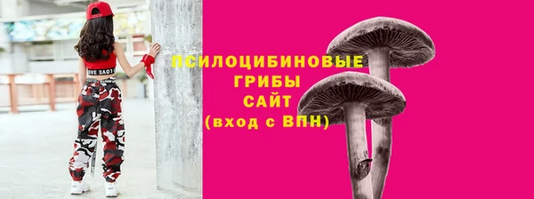 бутират Арсеньев